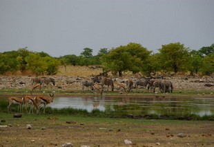 686 Namibia Okt 2006 .JPG